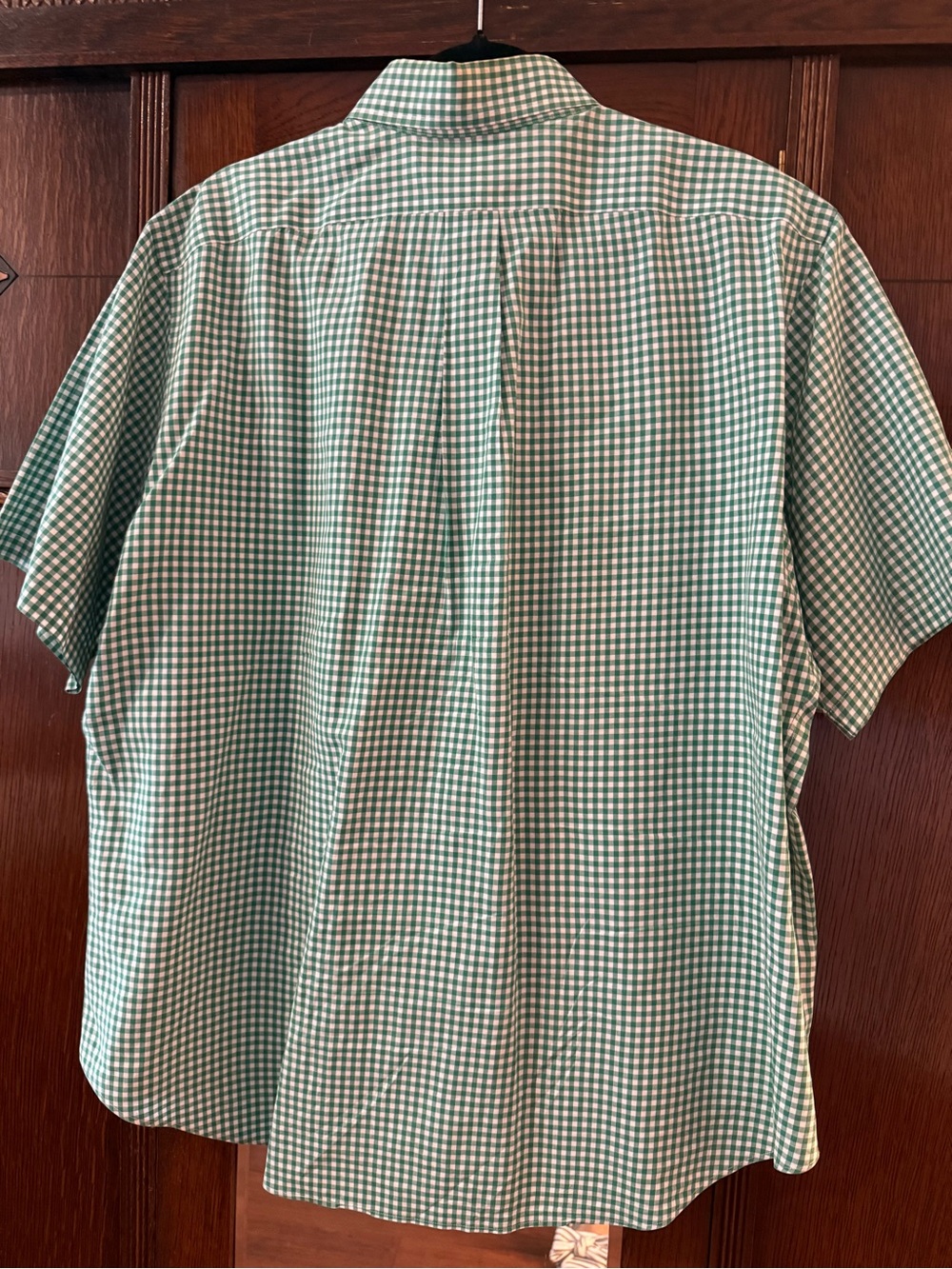 Ralph Lauren Green and White Gingham Button-Down Shirt - Picture 4 of 5